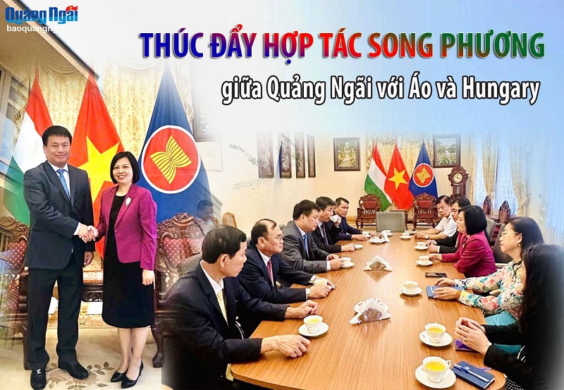 Thúc đẩy hợp tác song phương giữa Quảng Ngãi với Áo và Hungary